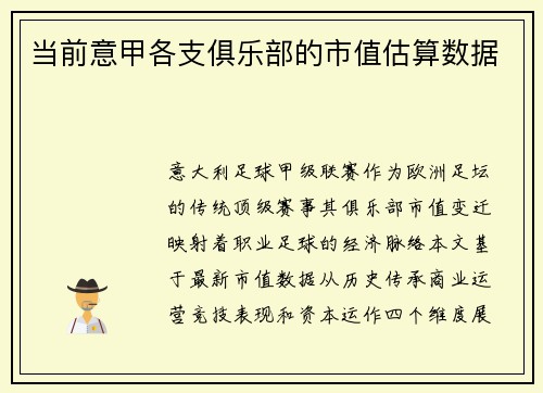 当前意甲各支俱乐部的市值估算数据